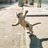 快乐小飞猪
