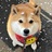 路晞