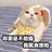 不是什么仙女
