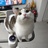 吾辈も猫である