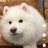 烈酒鹿