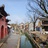 后室小流浪