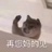 _云
