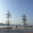 Lee_M