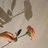 Jasmine17