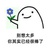 胡岛海狗