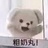姜糖可可