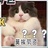 老知青