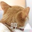 咬一口猕猴桃