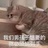 垃圾年頭