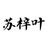 苏梓叶
