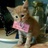 Castiel