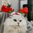 猫二爷