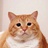 爱猫诗人老李头
