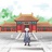 李未占星