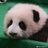 豆友175417559