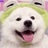 九村烤脑花