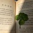 法鲨微笑h