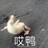 好圆真圆