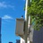 浮光跃金