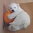 温带小北极熊