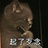 池海猫犬