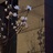 enjoy_sparkle