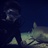 ANightAquatic