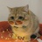 猪儿虫