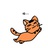 甜橙猫