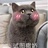 蛋黄派