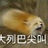 西八老马