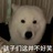 豆沙春卷