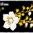 杏韵芳华