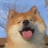 Skippy四季宝