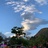 oiilve-
