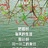 飘扬