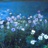 云果