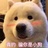 哦
