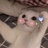 妮儿