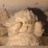 捂眼小羊🐑