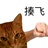 豆友209750793