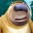 。。。