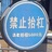 牛油果千层