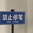 小能和爪爪爪爪