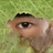 Kichikooo
