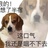 北京WB.超级兵