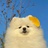 明明在线中