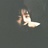 橙西です。