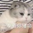 不吃汉堡